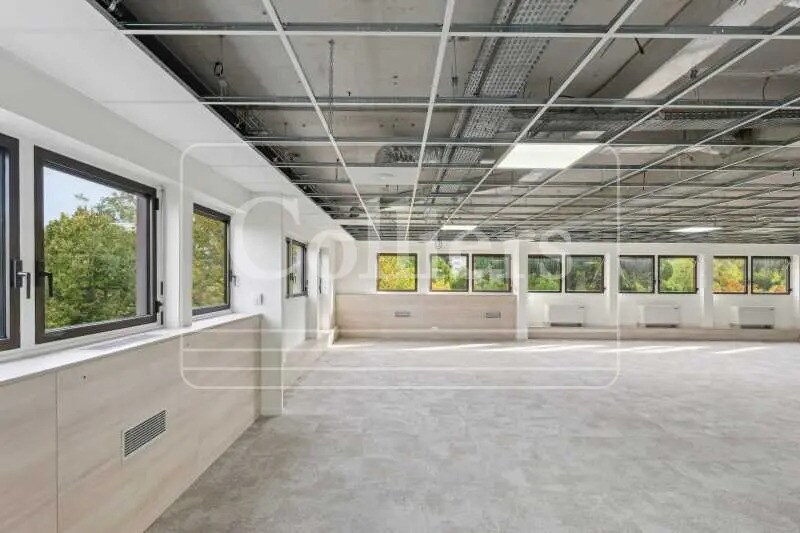 467 Avenue Du Prado, Marseille à louer - Photo de l’immeuble – Image 3 sur 33