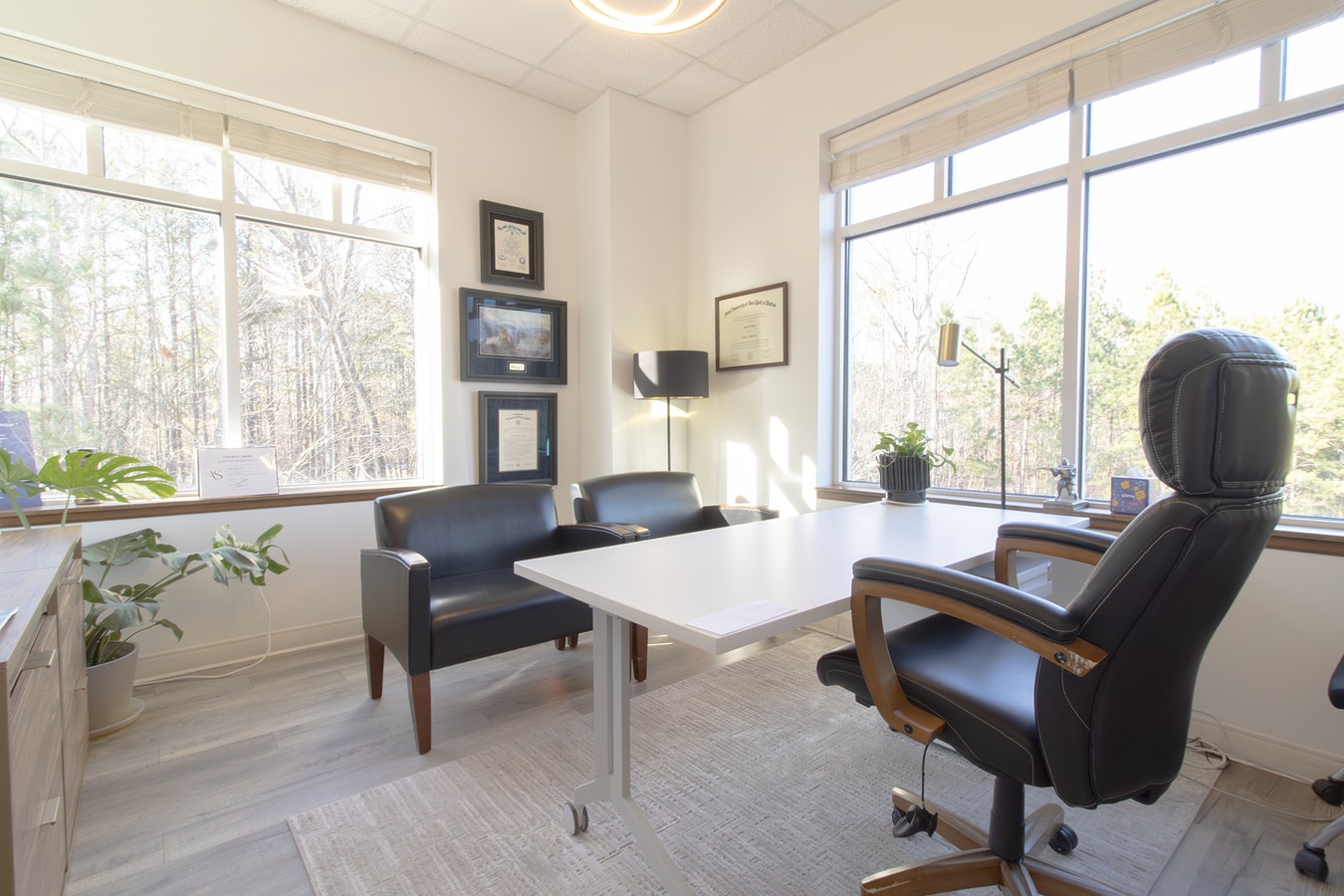 160 MacGregor Pines Dr, Cary, NC 27511 - Lot 310A - - Photo intérieure - Image 2 of 13