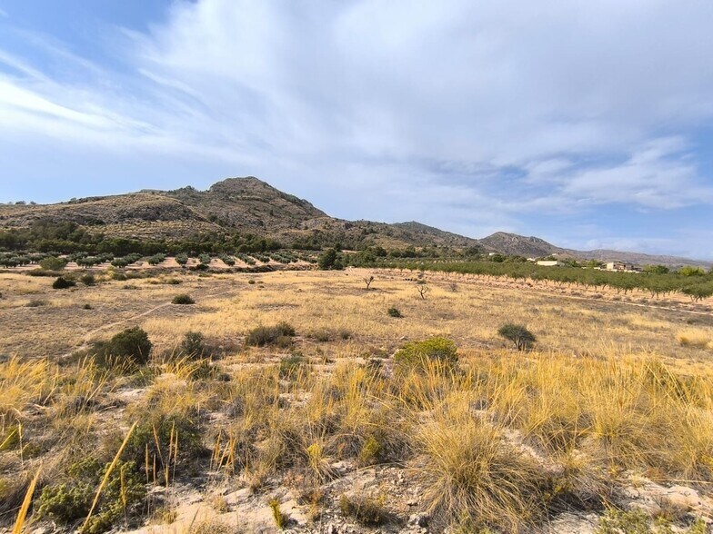 Terrain dans Sax, Alicante à vendre - Photo principale – Image 2 sur 6