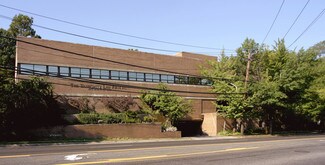 Plus de détails pour 175 E Shore Rd, Great Neck, NY - Bureau à louer