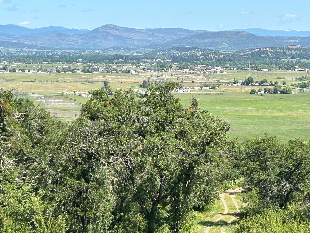 View Photo