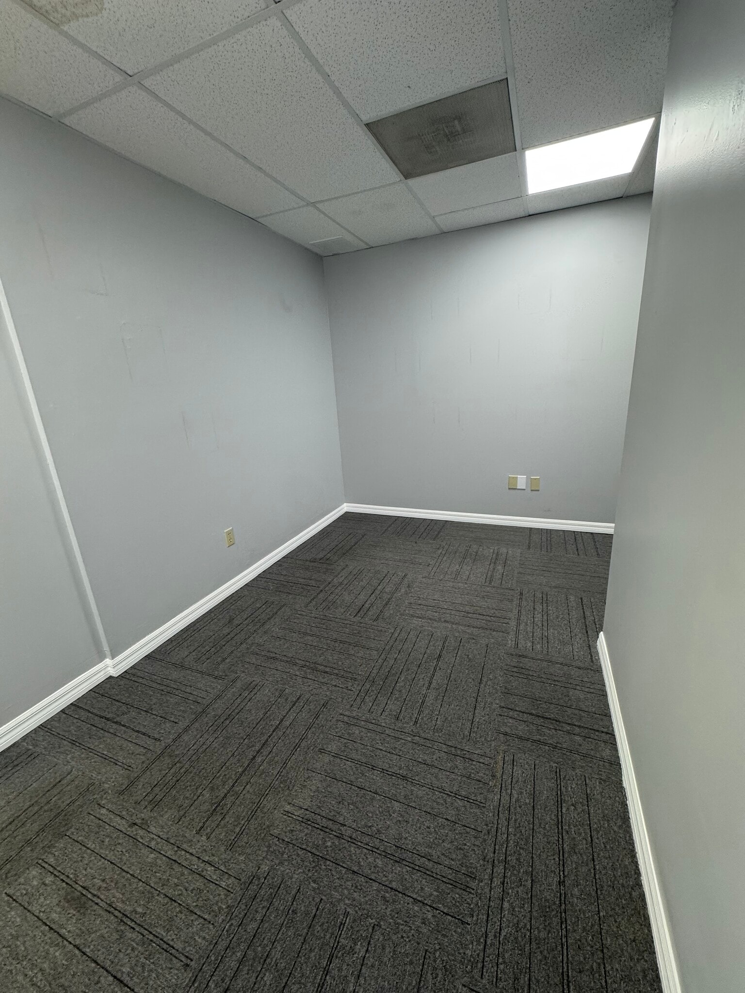 Bureaux/Médical dans Palm Harbor, FL à louer Photo intérieure– Image 1 sur 2