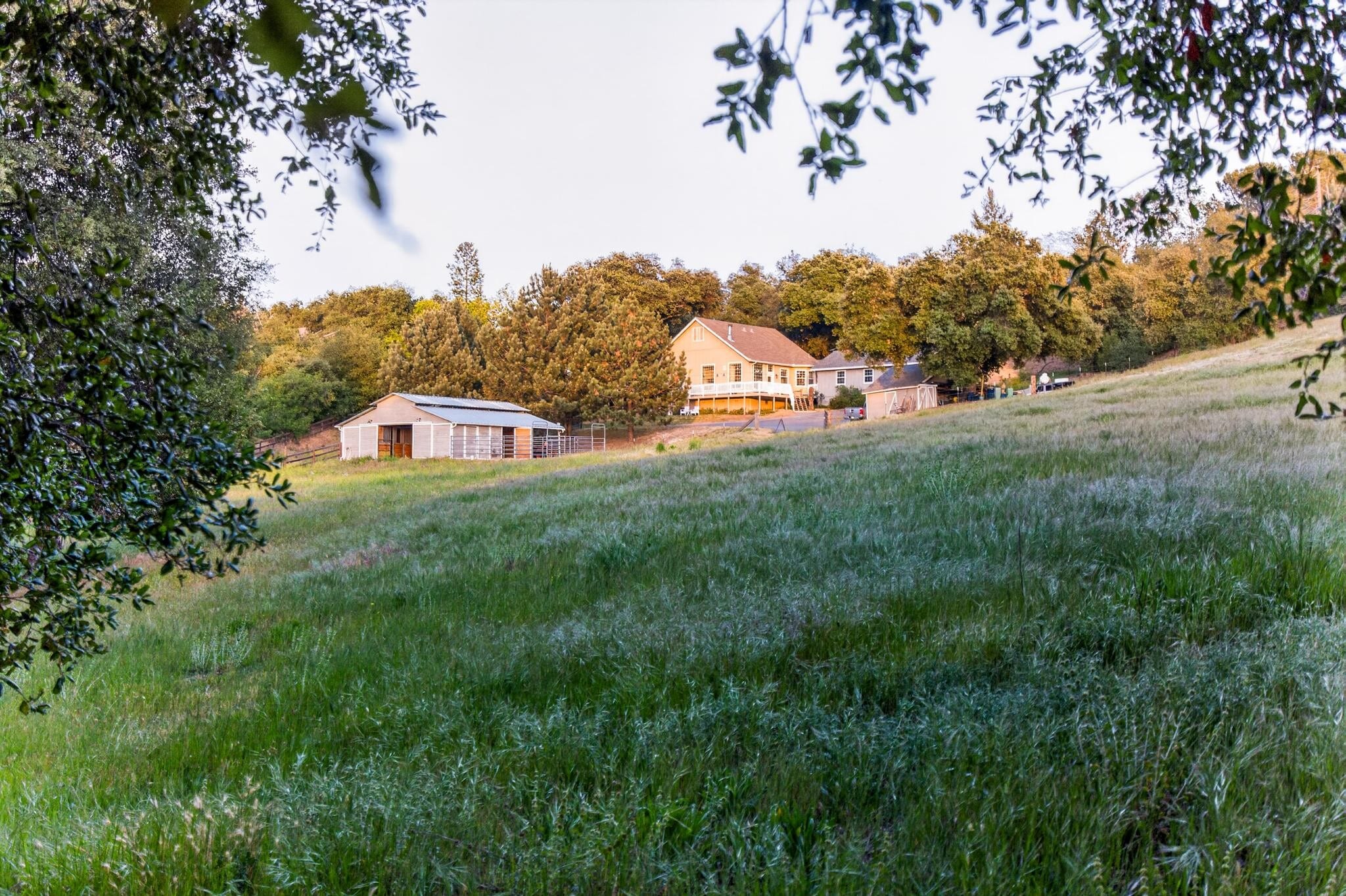 25350 Mesa Grande Rd, Santa Ysabel, CA à vendre Photo principale– Image 1 sur 56
