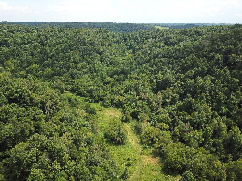 582 Cedar Bend rd, Beechgrove, TN à vendre - Photo principale – Image 1 sur 1
