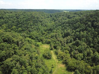 Plus de détails pour 582 Cedar Bend rd, Beechgrove, TN - Terrain à vendre