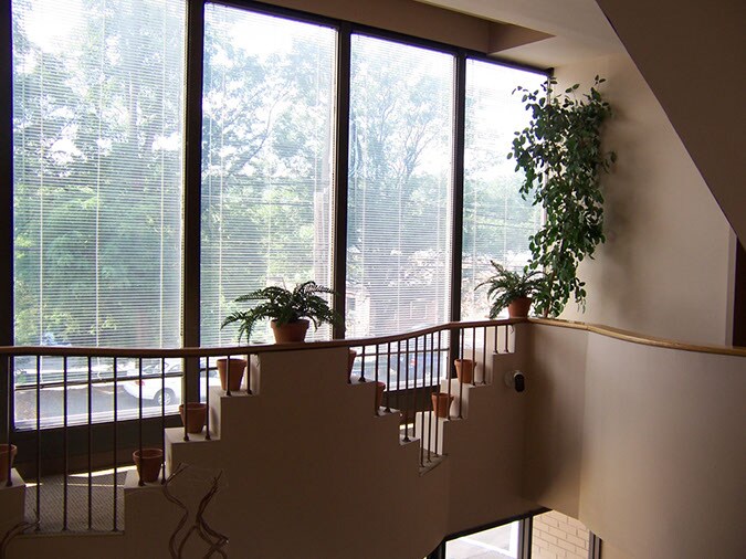 56 Lafayette Ave, White Plains, NY à louer - Photo intérieure – Image 3 sur 13