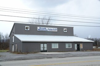 Plus de détails pour 3340 E Pleasant Valley Blvd, Altoona, PA - Local commercial à vendre
