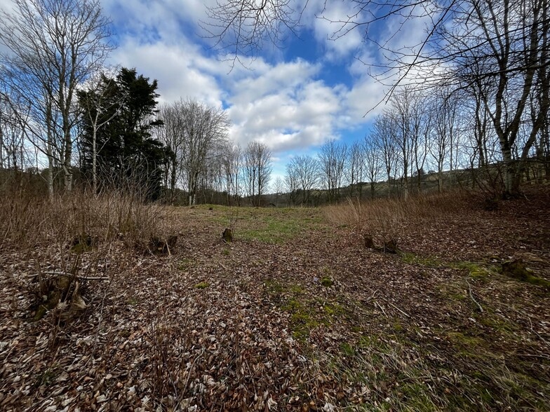 Parkdaill, Hawick à vendre - Autre – Image 2 sur 3