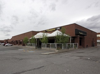 Plus de détails pour 4120 Steeles Ave W, Vaughan, ON - Industriel/Logistique à louer