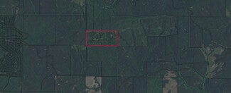 Plus de détails pour Talbot County Tract 32013D, Shiloh, GA - Terrain à vendre