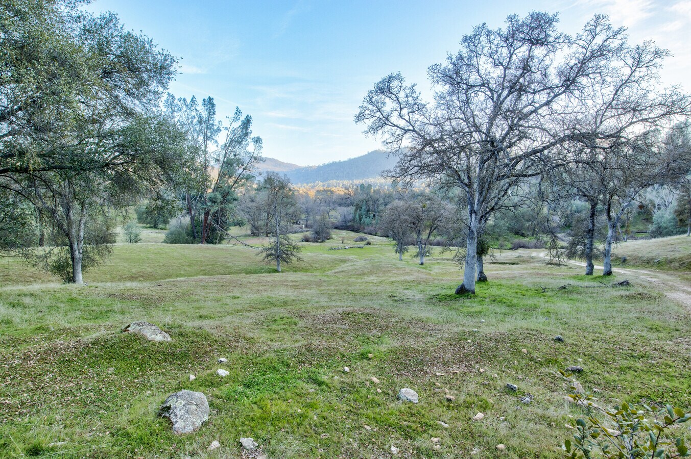 View Photo