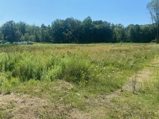 Plus de détails pour 10982 Southwestern Blvd, Irving, NY - Terrain à vendre
