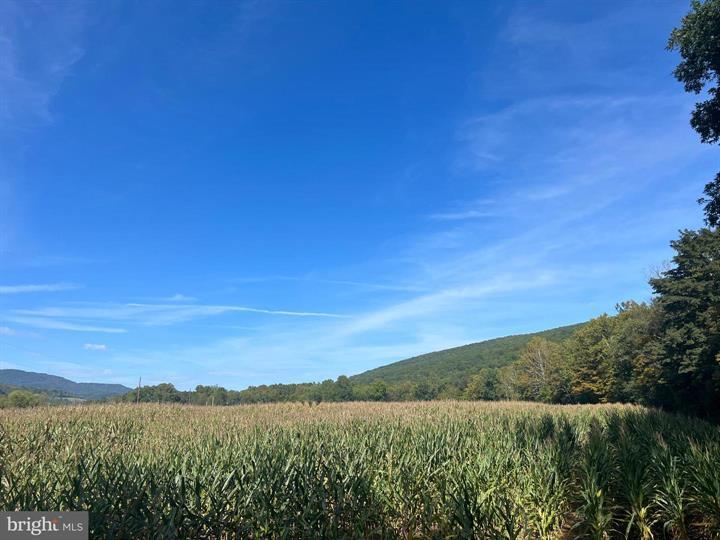 Cooks Mill Road, Hyndman, PA à vendre - Photo de l’immeuble – Image 3 sur 17