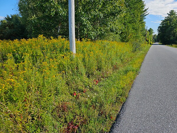 0 Racine Rd, Milton, VT à vendre - Photo de l’immeuble – Image 3 sur 5