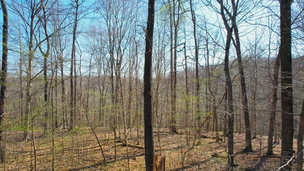 Clarksville portefeuille de 2 biens à vendre sur LoopNet.fr - Vidéo sur l’annonce professionnelle – Image 2 sur 7