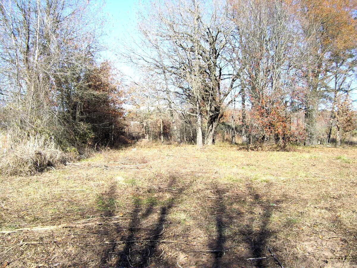 View Photo