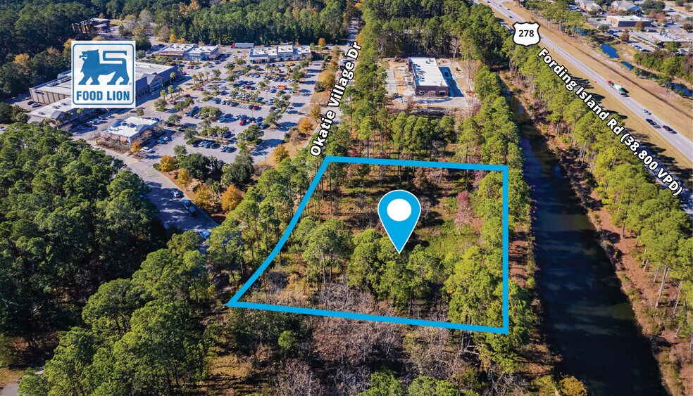223 Okatie Village dr, Okatie, SC à vendre - Photo de l’immeuble – Image 2 sur 4