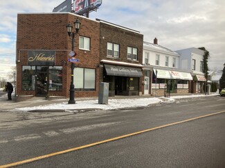 Plus de détails pour 6022-6026 Main St, Niagara Falls, ON - Local commercial à vendre