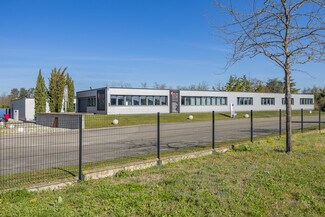 Plus de détails pour 6 Rue De Genève, Saint-Priest - Local d’activités à vendre