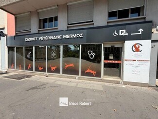 Plus de détails pour 47 Avenue Jean Mermoz, Lyon - Local commercial à louer