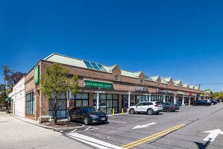 Plus de détails pour 52-66 E Sunrise Hwy, Lindenhurst, NY - Local commercial à louer