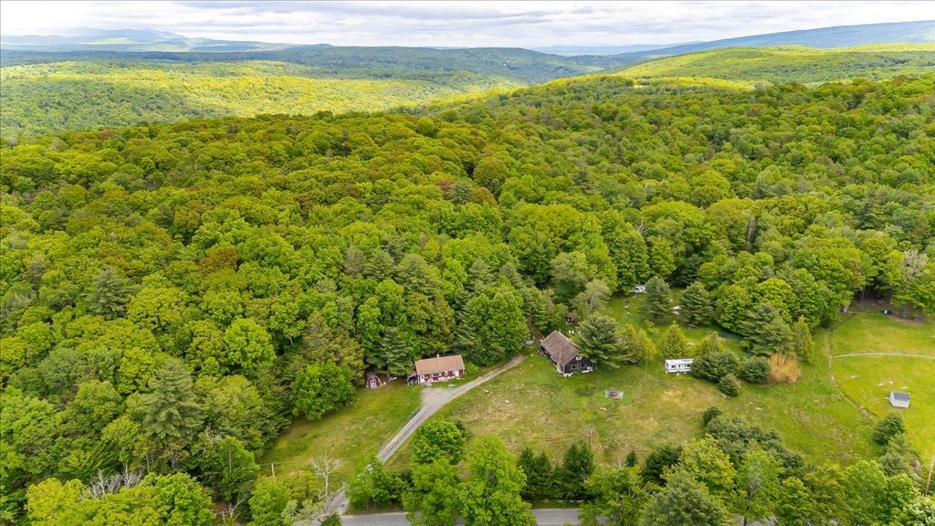 101 Red Star Rd, Greenfield Park, NY à vendre Aérien– Image 1 sur 50