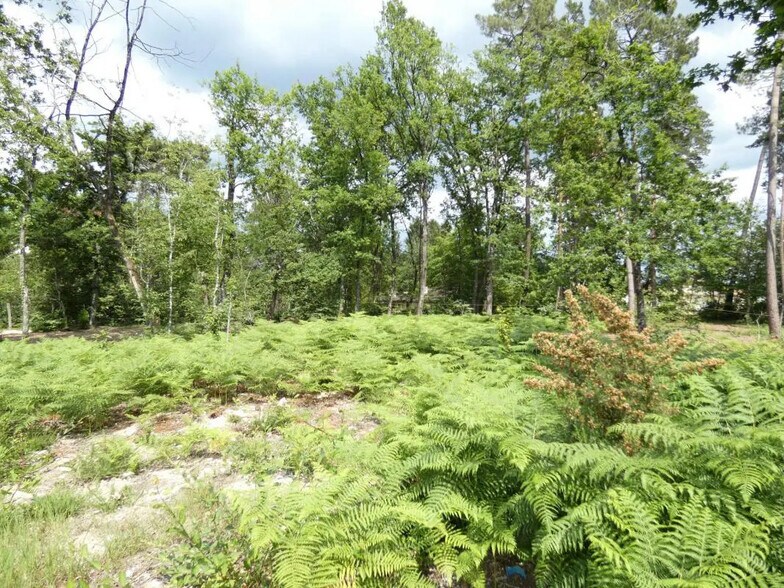 Terrain dans MARSAC-SUR-L'ISLE à vendre - Photo de l’immeuble – Image 2 sur 5