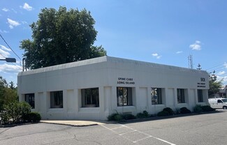 Plus de détails pour 901 Old Country Rd, Plainview, NY - Bureau/Médical à louer