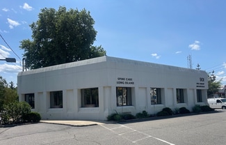 Plus de détails pour 901 Old Country Rd, Plainview, NY - Bureau/Médical à louer
