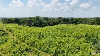 Plus de détails pour Co 150 N rd, Hazleton, IN - Terrain à vendre