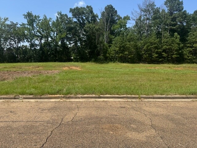 Parklane Rd, Mccomb, MS à vendre - Photo de l’immeuble – Image 3 sur 5