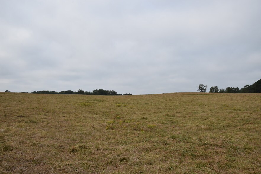 Spears Rd, Mansfield, GA à vendre - Autre – Image 2 sur 5