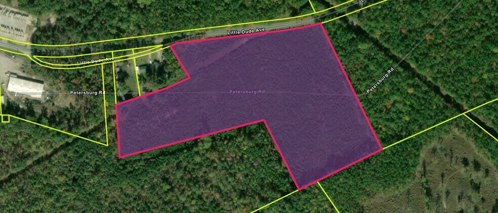 Industrial Intermodal or Workforce Housing 20.6 Acre Tract Near Gold Mines = Trucking Use, Kershaw, SC à vendre - Plan cadastral – Image 2 sur 14