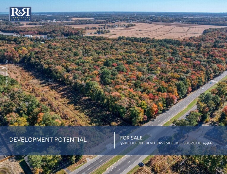 E Side of Rte 113 30836 DuPont Hwy, Dagsboro, DE à vendre - Photo de l’immeuble – Image 1 sur 1
