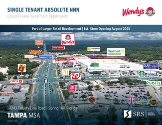 Plus de détails pour 10243 County Line Rd, Spring Hill, FL - Local commercial à vendre