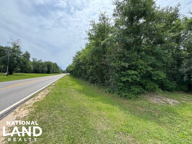 0 Dead Lake Rd., Creola, AL à vendre - Autre – Image 2 sur 15