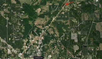Plus de détails pour N US Highway 59, Livingston, TX - Terrain à vendre