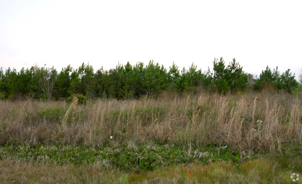 State Road 200, Yulee, FL à vendre - Photo principale – Image 3 sur 18