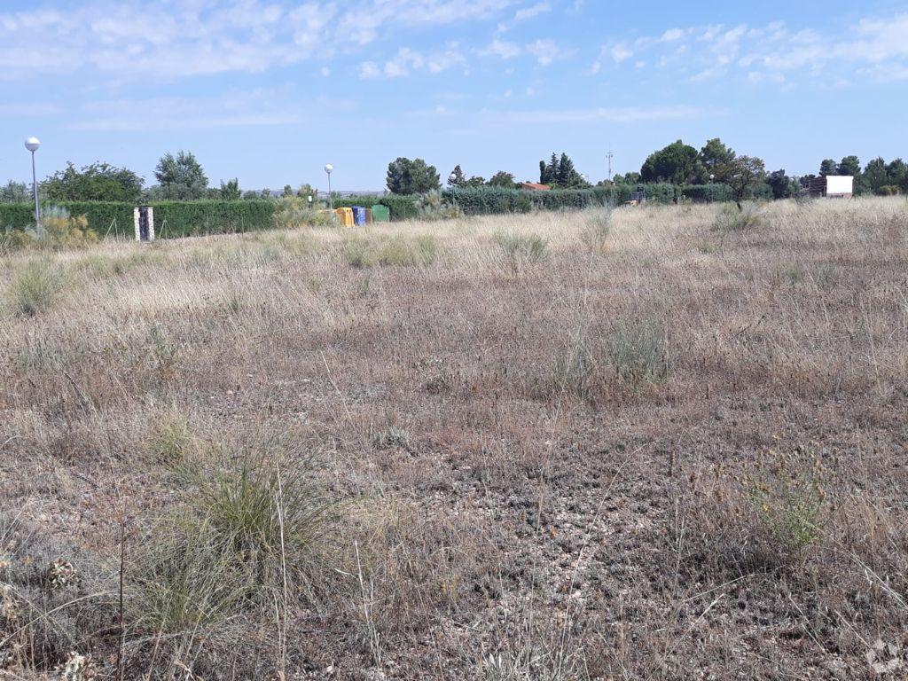 Terrain dans Illana, Guadalajara à vendre Photo principale– Image 1 sur 8
