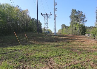 Plus de détails pour 76649 AL Highway 77, Lincoln, AL - Terrain à vendre