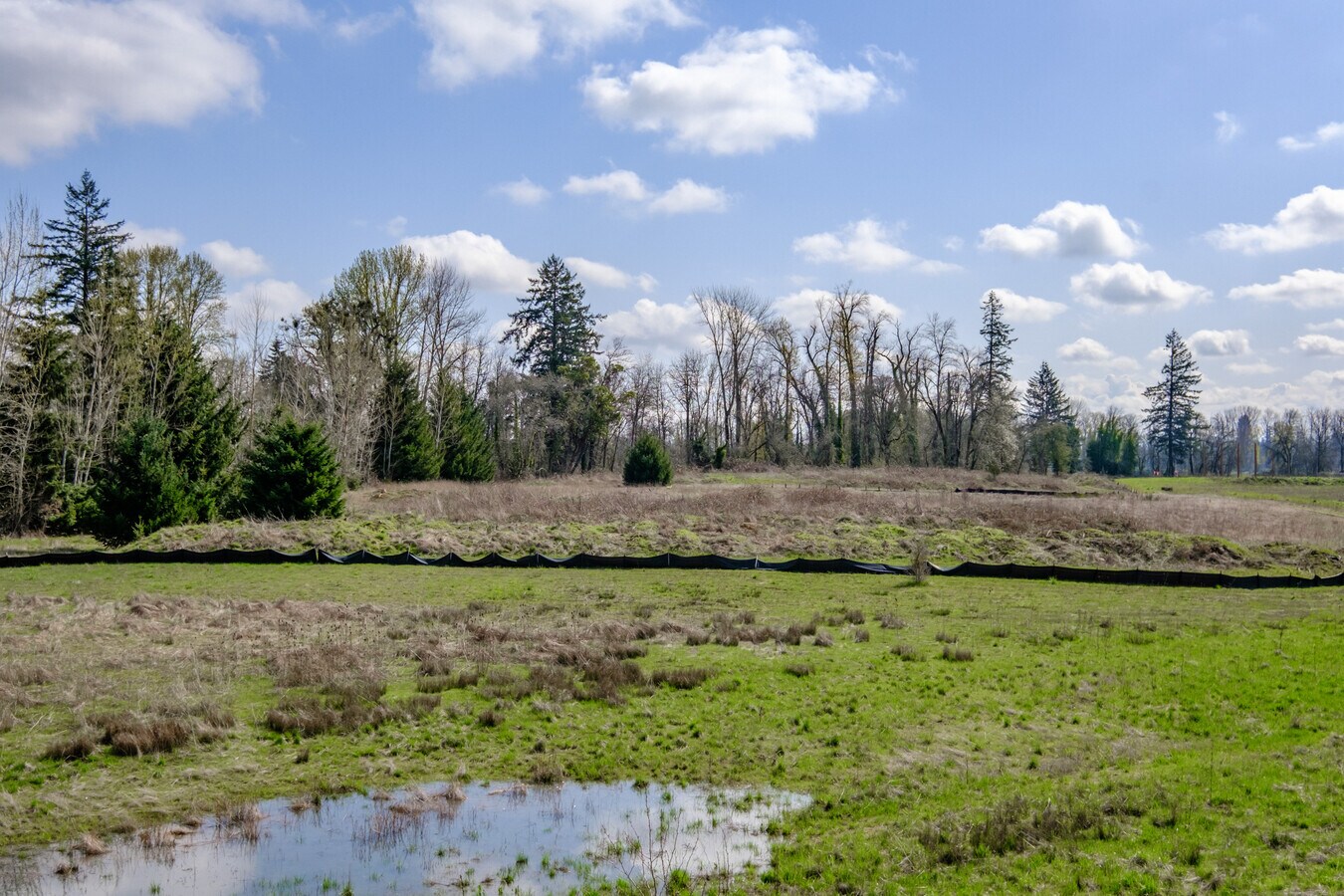 View Photo