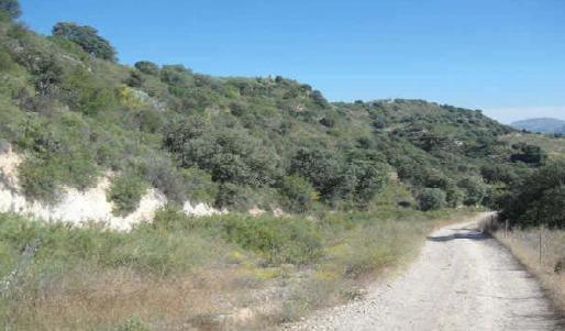 Terrain dans Atarfe, Granada à vendre - Photo de l’immeuble – Image 2 sur 9