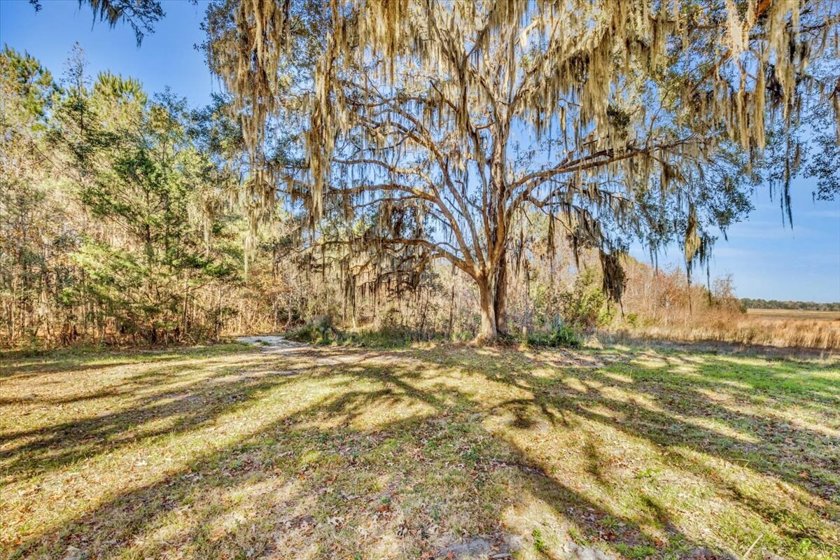 580 Old Gress Island Rd, Midway, GA à vendre Photo principale– Image 1 sur 12