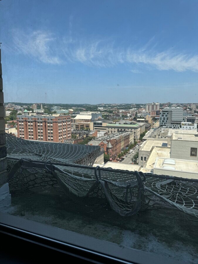 View Photo