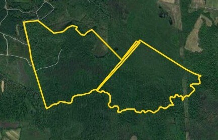 0 N Roxbury Mill Rd Rd, Woodford, VA à vendre - Photo principale – Image 1 sur 32