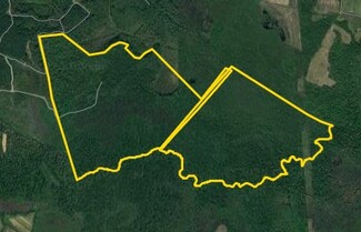 Plus de détails pour 0 N Roxbury Mill Rd Rd, Woodford, VA - Terrain à vendre