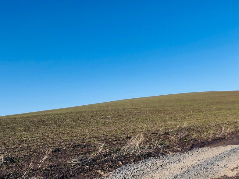 122 Sand Buckler Dr, Pullman, WA à vendre - Photo de l’immeuble – Image 1 sur 6