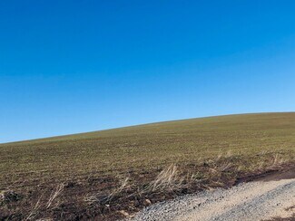 Plus de détails pour 122 Sand Buckler Dr, Pullman, WA - Terrain à vendre