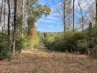 Plus de détails pour 1775 Brown Rd, Hephzibah, GA - Terrain à vendre