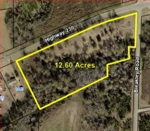 Plus de détails pour Highway 230, Unadilla, GA - Terrain à vendre